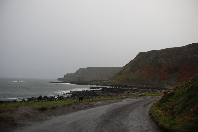 dsc_9680