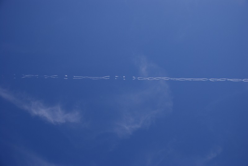 dsc_3905