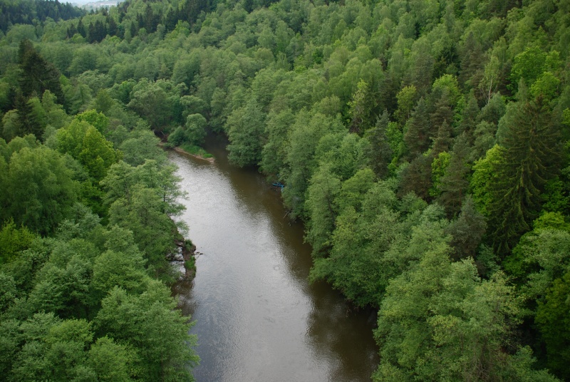 dsc_4417