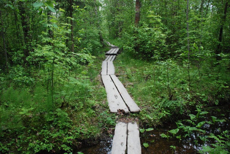 Path at lake