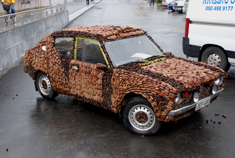 Forrest car