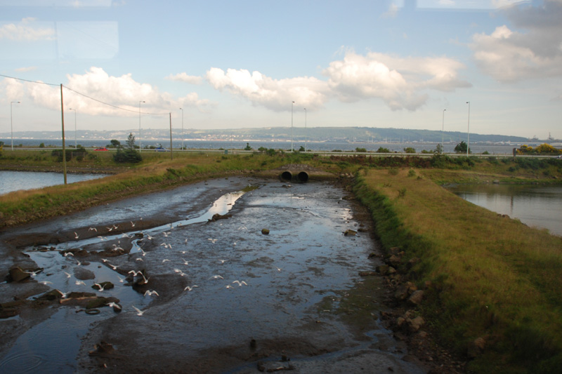 Picture taken from the train