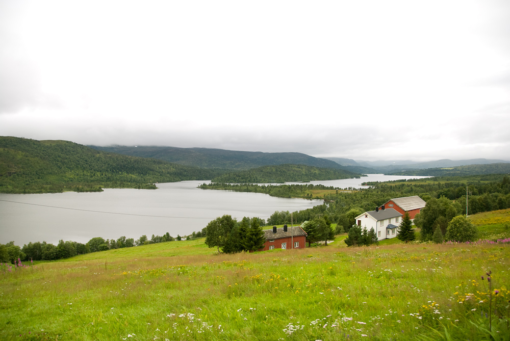 Sør-Trøndelag county