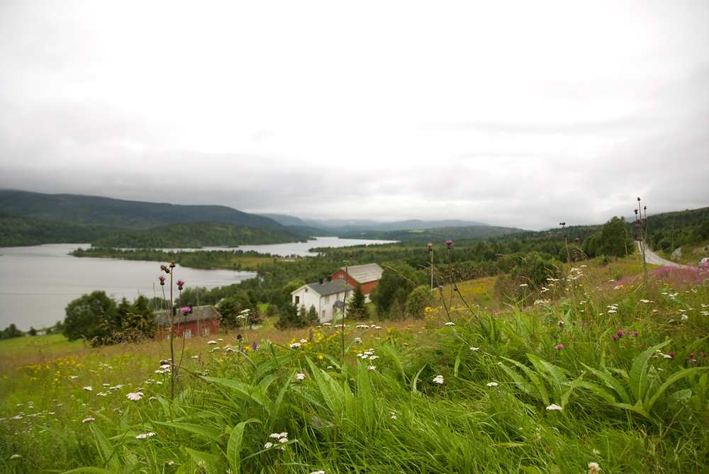 Sør-Trøndelag county