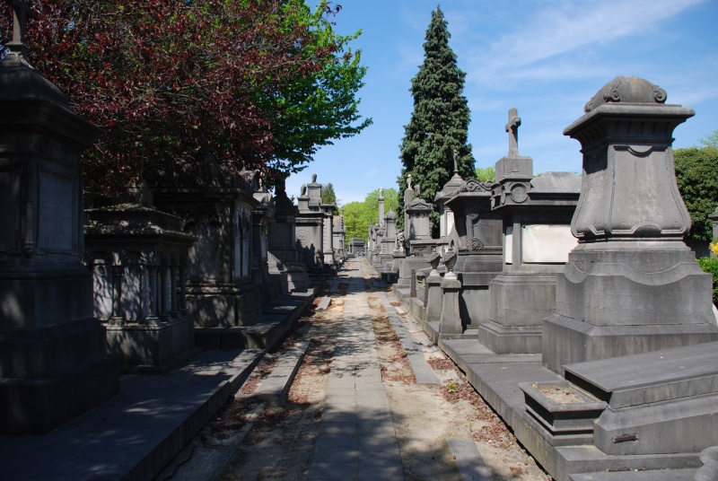 Cemetery at Laken