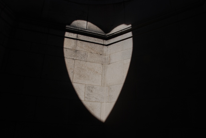 dsc_4178