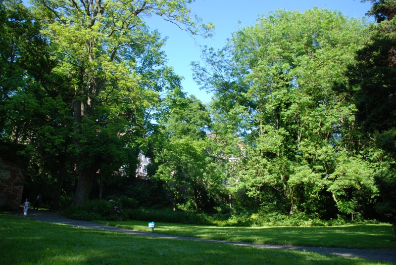 Felix Hap park
