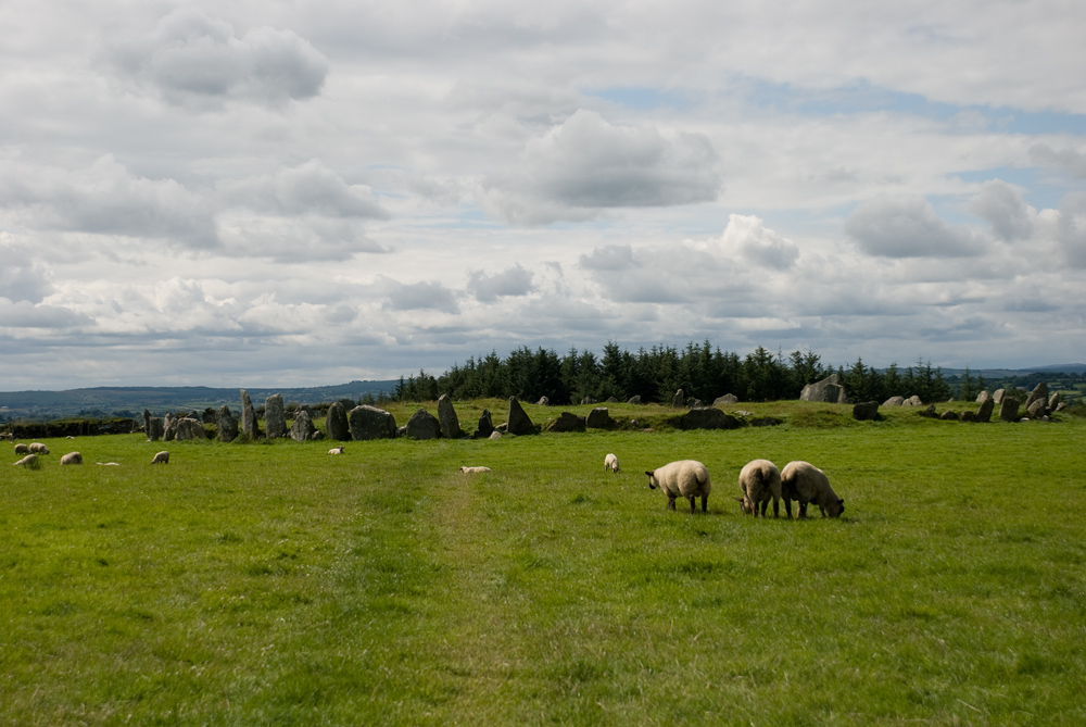 Beltany Stone Circle