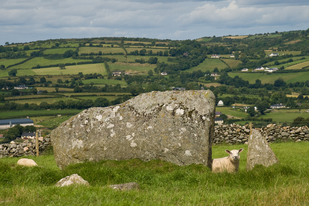 Beltany Stone Circle