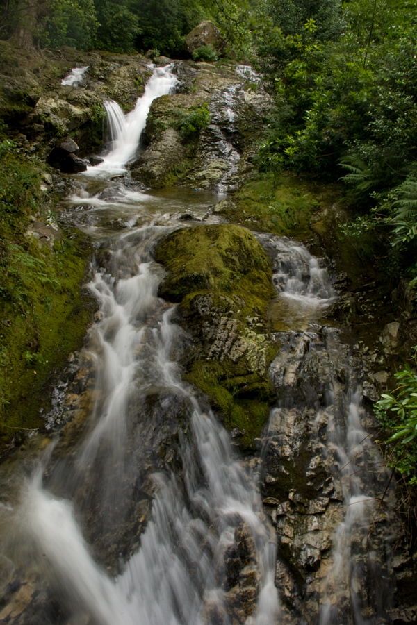 Waterfalls in the Donard wood