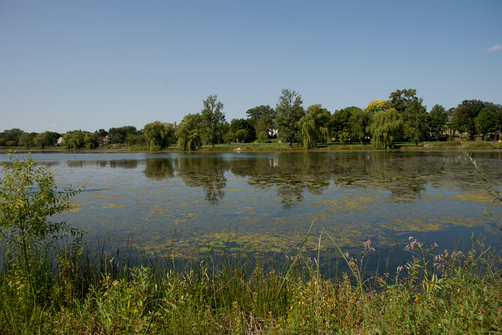 Lake of the Isles