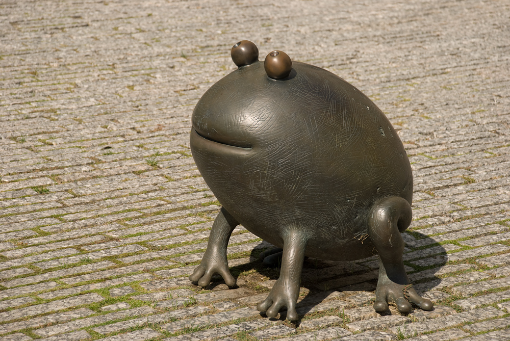 In front of the Courthouse