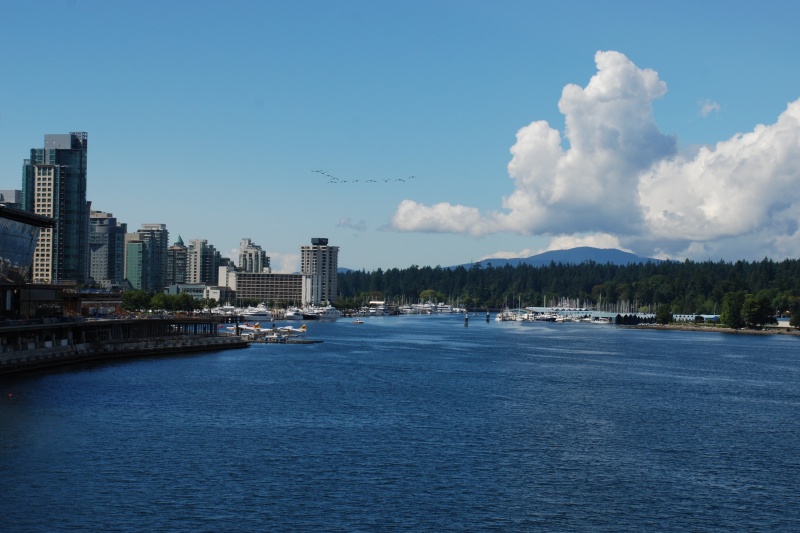 View from Canada place, the direction of Stanley park