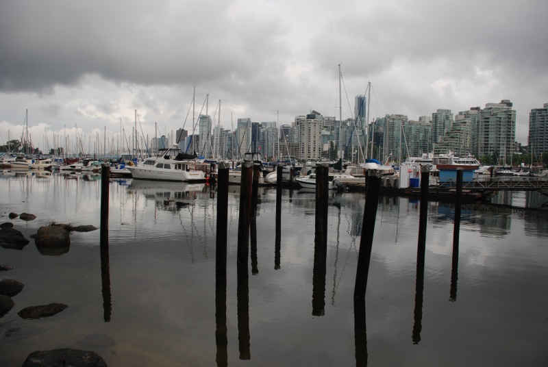 Downtown from Stanley park